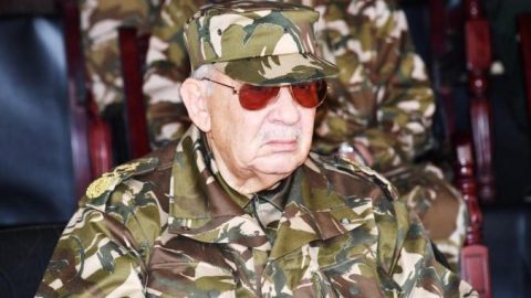 Algérie : Qui sont ces haut-gradés qui ont survécu à « l’hécatombe des généraux » de l’Armée Nationale Populaire ?