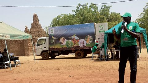 Phosphates : Guerre maroco-saoudienne sur les marchés africains