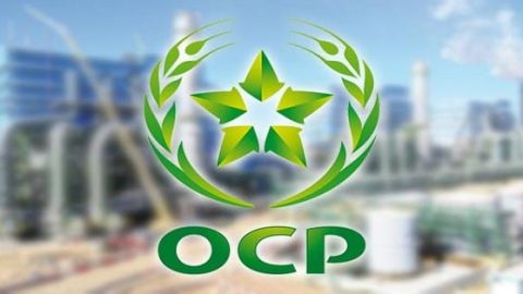 L’OCP va vendre 30.000 tonnes métriques d’engrais de haute qualité au Bangladesh