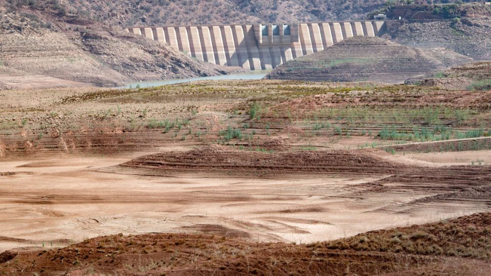 Le gouvernement marocain lance une grande opération de recensement des dégâts dans le domaine agricole