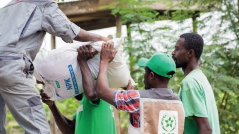 Exclusif. Phosphates : les dessous de la guerre acharnée menée en Afrique par l’Arabie Saoudite et la Russie contre le géant marocain OCP