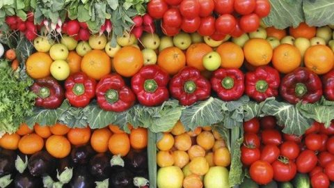 Le Maroc bientôt nouveau grenier de l’Europe : l’Espagne importe 50 % de ses besoins en légumes et en fruits de Rabat