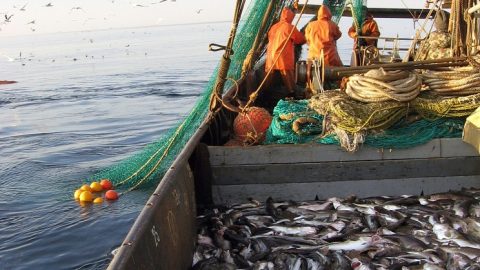 Pêche maritime: Moscou et Rabat filent le grand amour