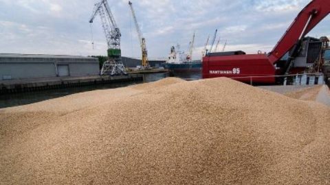 Le Maroc cherche à acheter 2,5 millions de tonnes de blé pour juillet-septembre sur le marché international