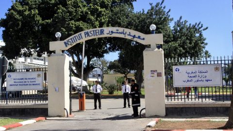 Exclusif. Au Maroc, l’Institut Pasteur devient une S.A qui s’appelle le Centre de recherches et de sérums