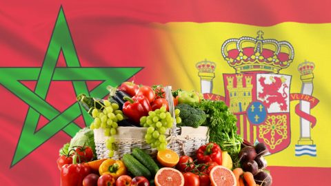 En 2022, l’Espagne a enregistré un déficit record de 1 milliard d’euros dans ses échanges agroalimentaires avec le Maroc