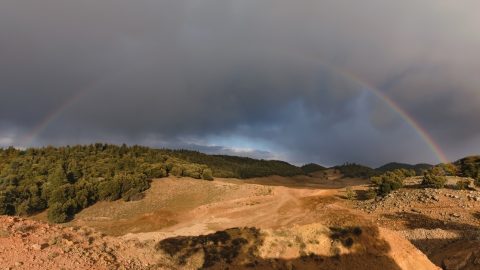 Maroc: lancement d’une grande opération de reboisement sur plusieurs milliers d’hectares