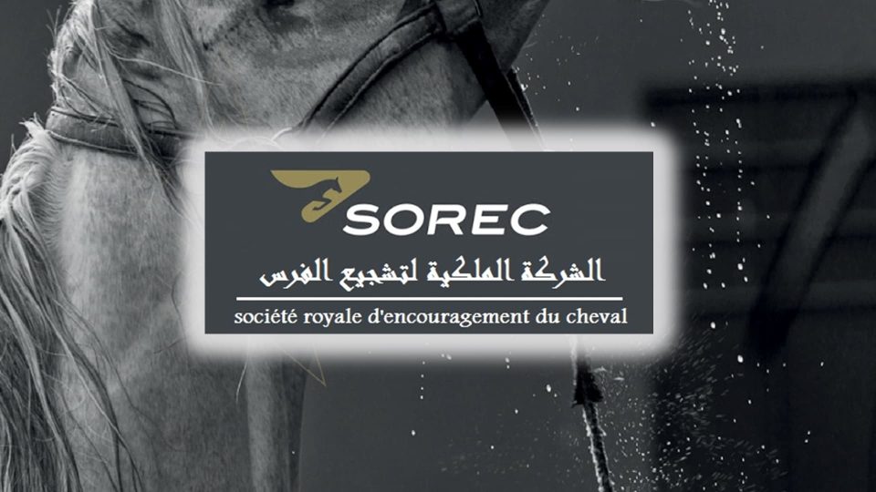 Maroc. Jeux hippiques: LMS CSA va scruter les flambeurs pour le compte de la SOREC