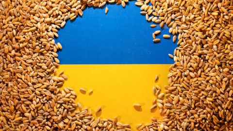 Une crise diplomatique entre la Pologne et l’Ukraine à cause de blé exporté au Maroc