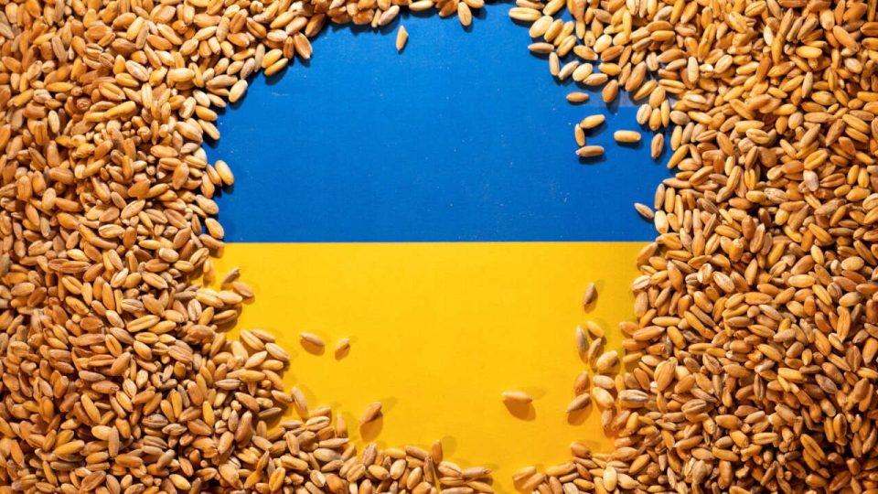 Une crise diplomatique entre la Pologne et l’Ukraine à cause de blé exporté au Maroc