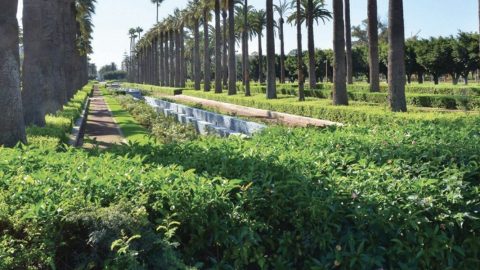 Aziz Akhannouch embauche la société Green Expert pour l’entretien des espaces verts des locaux du Chef du Gouvernement