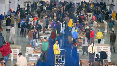 Maroc: Fès sera dotée d’un nouveau marché de gros au poisson pour près de 42 millions de dirhams