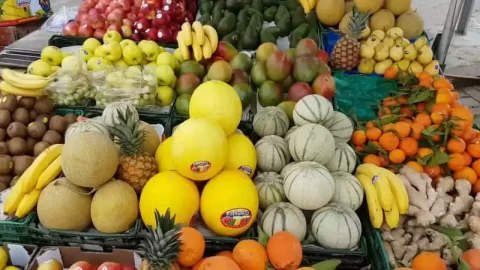 Maroc. Malgré une sécheresse sans précédent, les exportations d’avocats, de fruits rouges, d’agrumes et de légumes explosent