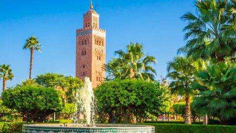 Maroc: Sigma 3 A va évaluer la vulnérabilité de la biodiversité urbaine de Marrakech