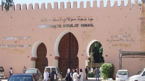 Maroc: les architectes Yaâgoubi et El Moumni chargés de la conception architecturale et du suivi des travaux de la Faculté de médecine d’Errachidia