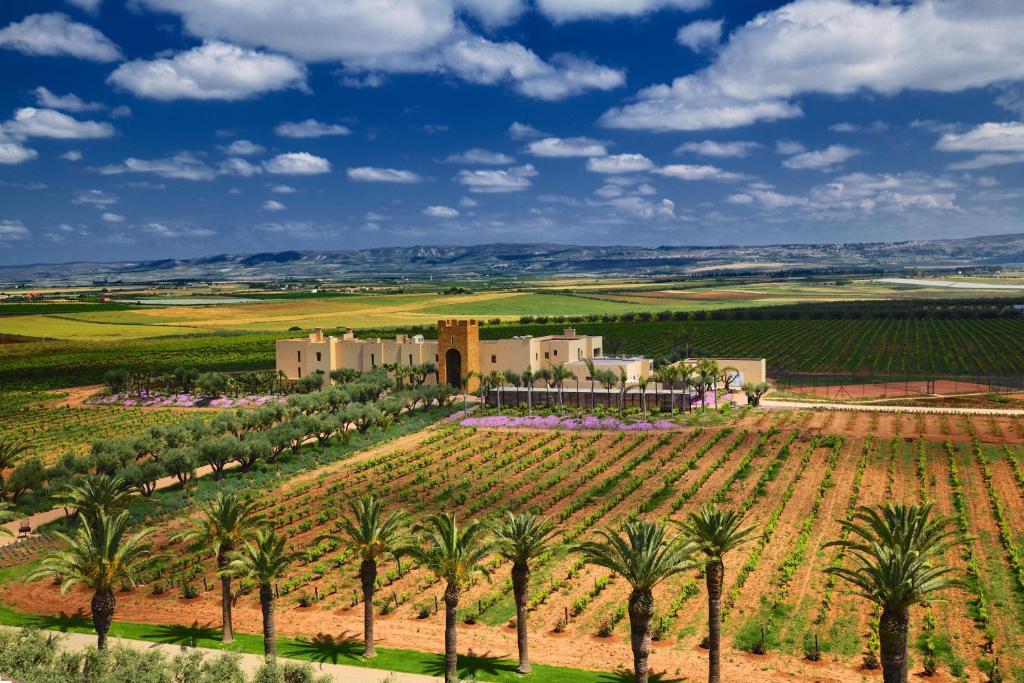 Maroc. Le producteur de vin Les Celliers de Meknès change de nom et augmente son capital