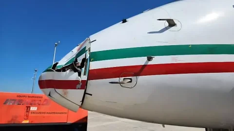 Maroc. L’ONDA prépare la guerre contre la faune des aéroports