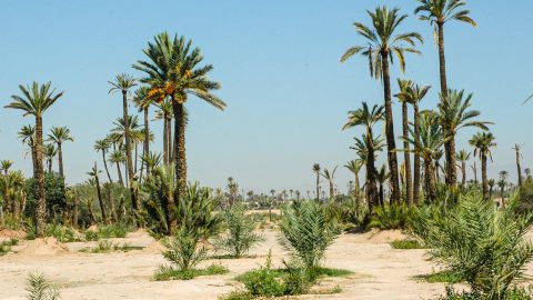 Clap de fin pour Vacances Bleues Maroc Patrimoine, le plus grand scandale immobilier de Marrakech