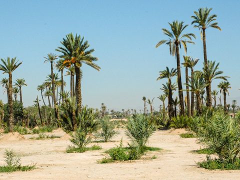 Clap de fin pour Vacances Bleues Maroc Patrimoine, le plus grand scandale immobilier de Marrakech