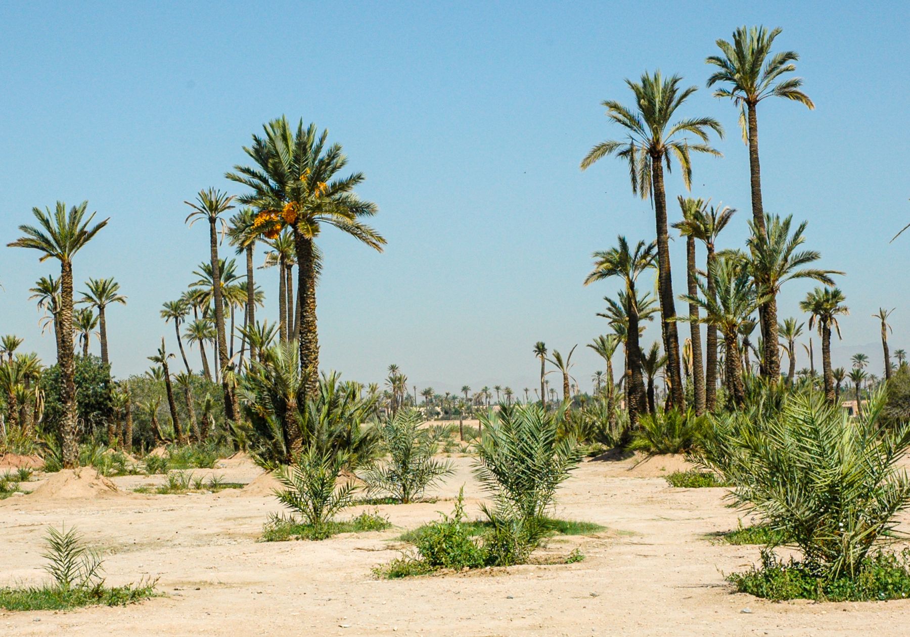 Clap de fin pour Vacances Bleues Maroc Patrimoine, le plus grand scandale immobilier de Marrakech