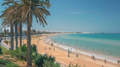 Maroc. La société Almo Jardin va réhabiliter les anciennes places de l’après-séisme de 1960 à Agadir