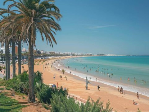 Maroc. La société Almo Jardin va réhabiliter les anciennes places de l’après-séisme de 1960 à Agadir