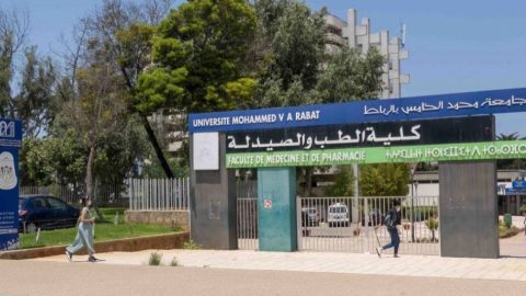 Insolite. Au Maroc, la Faculté de médecine de Rabat à la recherche de 40 cochons roses pour servir de cobayes