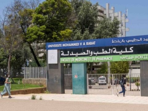 Insolite. Au Maroc, la Faculté de médecine de Rabat à la recherche de 40 cochons roses pour servir de cobayes