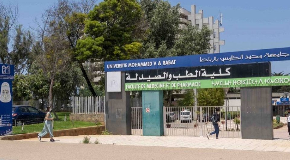 Insolite. Au Maroc, la Faculté de médecine de Rabat à la recherche de 40 cochons roses pour servir de cobayes