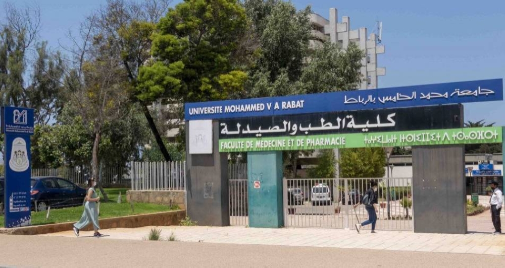 Insolite. Au Maroc, la Faculté de médecine de Rabat à la recherche de 40 cochons roses pour servir de cobayes